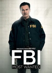 ФБР: Самые разыскиваемые преступники (2 сезон: 1-15 серия из 15) (2020) WEBRip | BaibaKo